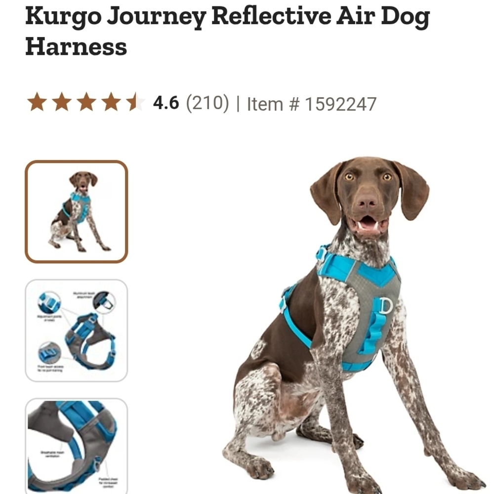 Kurgo Reflective Dog Harness - Teal